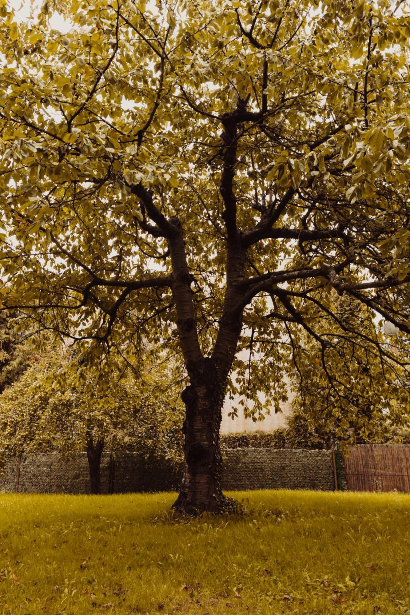 Green Hill Gdynia Orlowo エクステリア 写真